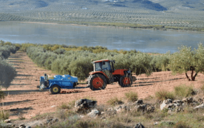 La figura del Encargado y las fincas de olivar en oliCloud