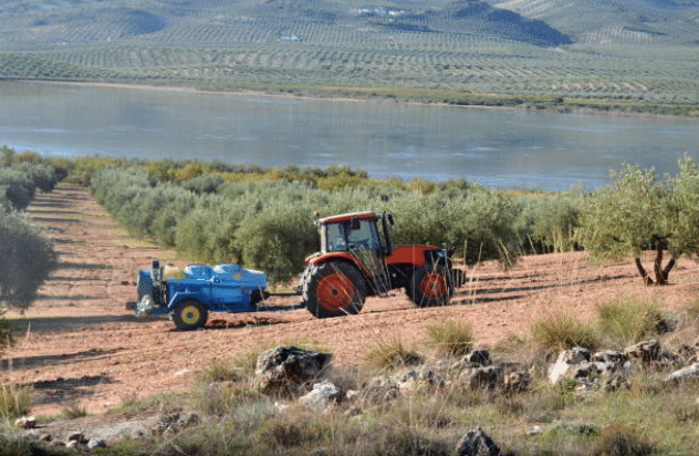 La figura del Encargado y las fincas de olivar en oliCloud