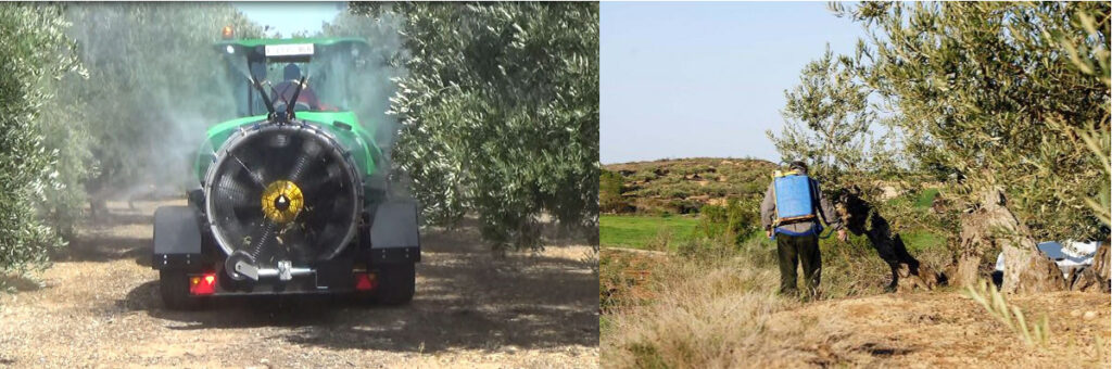 carné de aplicador de productos fitosanitarios