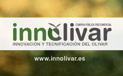 INNOLIVAR, «Innovación y tecnología para un olivar sostenible»