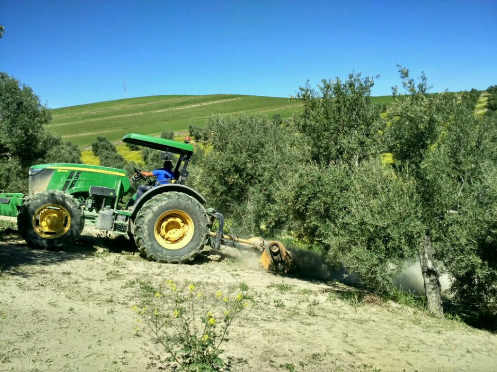 tractor en olivos cubierta vegetal