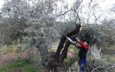 Todo sobre la entrega de equipos de protección en el sector agrícola