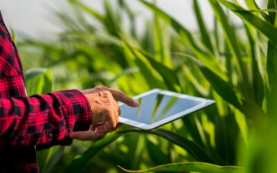 Registro de jornada de trabajadores agrícolas