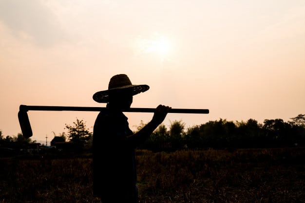 fin jornada laboral agricultor