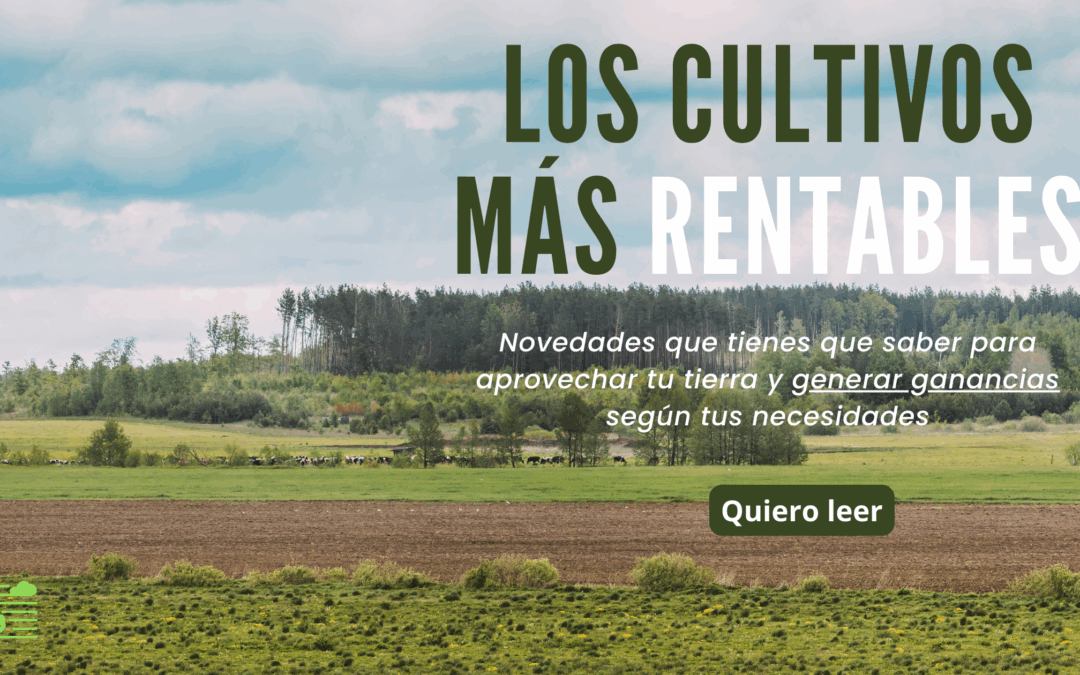 ¿Cuáles son los cultivos agrícolas más rentables en España?