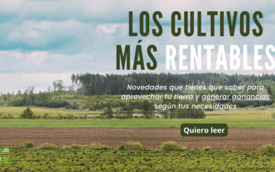 ¿Cuáles son los cultivos agrícolas más rentables en España?