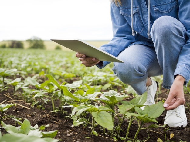 mujer joven agricultora usando aplicación agrícola