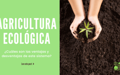 Ventajas y desventajas de la agricultura ecológica