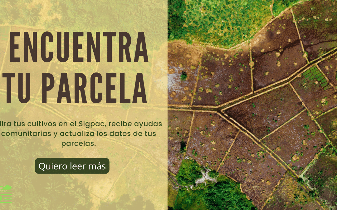 SIGPAC: una herramienta imprescindible para la gestión de parcelas