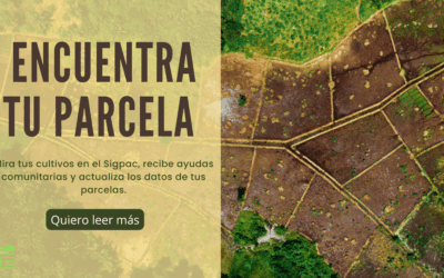 SIGPAC: una herramienta imprescindible para la gestión de parcelas