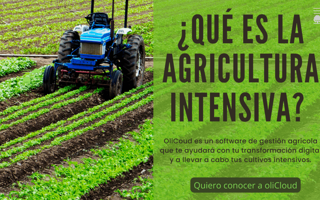 Desvelando la verdad tras la agricultura intensiva en Andalucía: ventajas, desventajas y soluciones