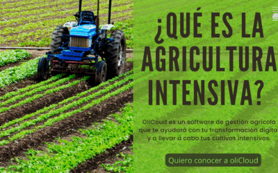 Desvelando la verdad tras la agricultura intensiva en Andalucía: ventajas, desventajas y soluciones